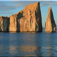 _Kicker Rock - Full Day - Shared