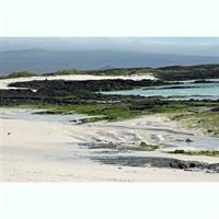 _Puerto Chino and Junco Lagoon - Half Day