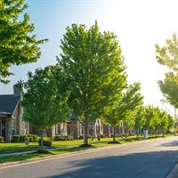 View of Fort Smith - Bentonville - Table Rock Lake (Self Drive)