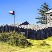 Punta Arenas and Magellan Strait Tour