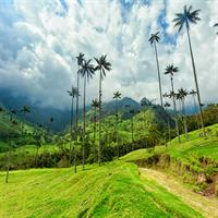 View of Bogota - Coffee Zone Salento - Cartagena by Air
