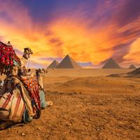 /images/apkg/1018/egypt_-_cairo_-_pyramids_view-5894700-500.jpg