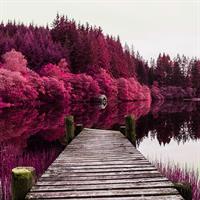 View of Loch Lomond and the Trossachs Self Drive (Crianlarich - Aberfoyle - Glasgow)