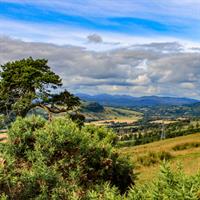 View of Inverness and the Northern Highlands Self Drive (Wick - Thurso - Tain - Dingwall)