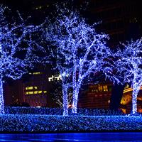 View of Christmas Holidays in Panama City - Medellin - Bogota