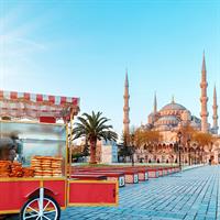 /images/apkg/1289/turkish_cuisine_-_pita_cart_near_fatih_mosque-4250804-500.jpg