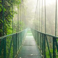 Arenal Hanging Bridges Walk (Guided)