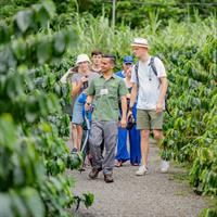 Coffee and Chocolate Tour in Arenal (Guided)