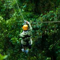 Cloud Forest Zipline and Reserva Santa Elena Hike (Guided)