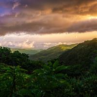 Reserva Santa Elena Hike (Guided)