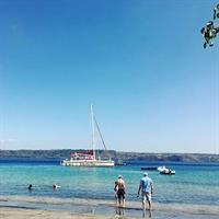 Afternoon Catamaran Cruise and Snorkeling with Lunch (Guided)