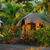 View of Runway to Ride: Chan Chich - San Ignacio and Ambergris Caye