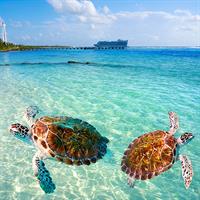 View of Miami and Cancun by Air