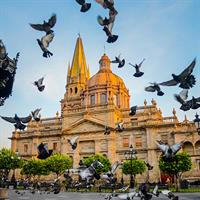View of Guadalajara and Guanajuato with Private Transfers