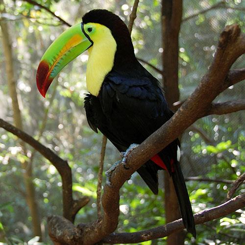 Ecotourism in Mexico