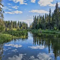 View of Canadian Rockies and Saskatoon (Self Drive)