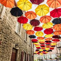 View of Ottawa and Quebec City by Train
