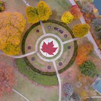 View of Toronto and Ottawa by Air