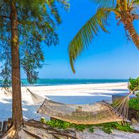 /images/apkg/2643/tanzania_-_zanzibar_-_hammock_near_beach-1082287-500.jpg