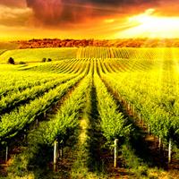 View of Adelaide - Bundaberg - Brisbane by Air