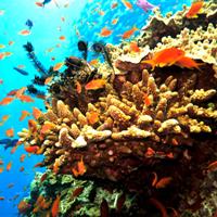 View of The Best of Auckland - Queenstown - Melbourne - Cairns - Sydney