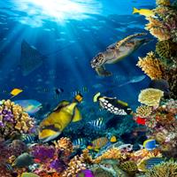 View of Cairns for Outdoor Enthusiasts