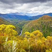 View of The Tasmanian Experience (Hobart - Cradle Mountain - Launceston) Self Drive