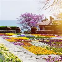 /images/apkg/2649/north_black_sea_coast_-_balchik_palace-1114112-500.jpg