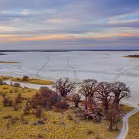 /images/apkg/2652/okavango_-_nxai_pan-1969016-500.jpg