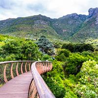 /images/apkg/2652/south_africa_-_cape_town_-_botanical_garden-5927912-500.jpg