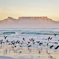 /images/apkg/2652/south_africa_-_cape_town_-_seascape-5927757-500.jpg