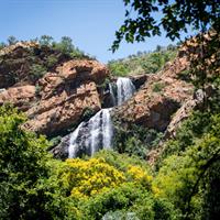View of The Best of Johannesburg and Cape Town