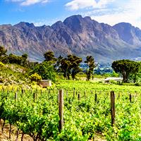 View of Runway to Ride: Cape Town - Franschhoek - Hazyview