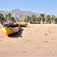 /images/apkg/2653/fujairah_-_al_aqah_beach-725971-500.jpg