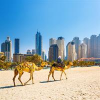 View of The Best of Cairo - Luxor - Amman - Dubai