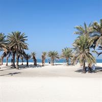 /images/apkg/2653/umm_al_quwain_-_beach-4476479-500.jpg
