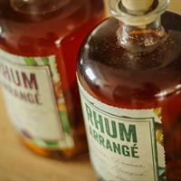 View of Martinique Island Escape