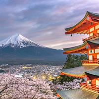 View of Tokyo and Fuji Five Lakes with Rail Pass