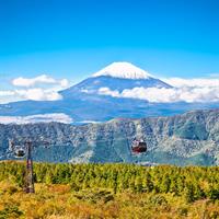 View of Tokyo and Hakone with Rail Pass