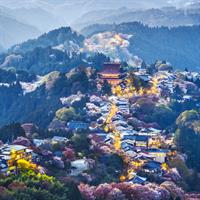 View of Tokyo and Highlights of Kansai with Rail Pass (Kyoto - Nara - Osaka)