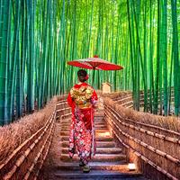 View of The Best of Tokyo - Kyoto - Osaka