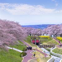 View of Osaka - Tokyo - Sendai with Rail Pass