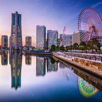 View of Tokyo - Chiba - Yokohama - Hakone with Rail Pass