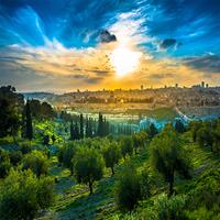 /images/apkg/3915/jerusalem_-_mount_of_olives-883457-500.jpg