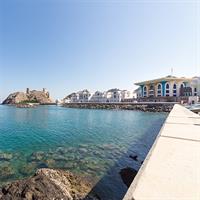 /images/apkg/3919/oman_-_muscat_-_fort_al_jalali_and_sultan_palace-1006123-500.jpg