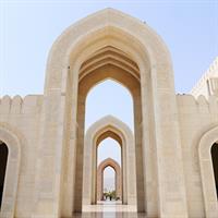 /images/apkg/3919/oman_-_salalah_-_sultan_qaboos_architecture-1131555-500.jpg