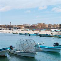 /images/apkg/3919/sohar_-_coastline-4646652-500.jpg