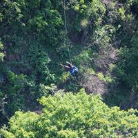/images/apkg/3932/victoria_falls_-_swing-4627025-500.jpg