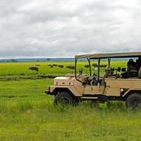 /images/apkg/3972/chobe_national_park_-_safari-1844056-500.jpg