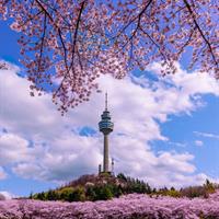 View of South Korea by Air (Seoul - Gwangju - Jeju Island - Daegu)
